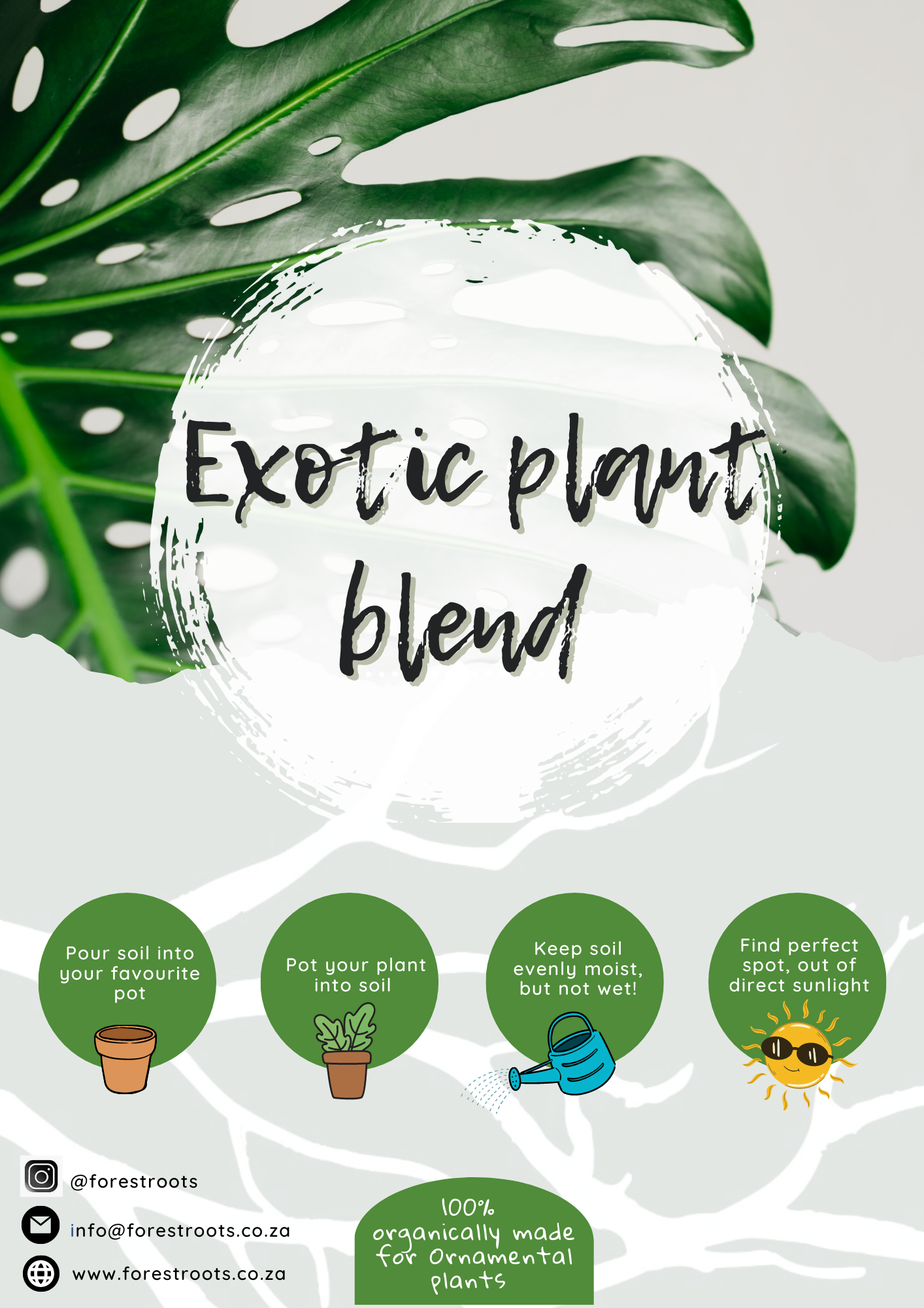 Exotic Plant Blend