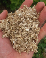 Oak Shavings