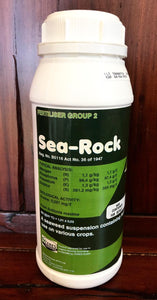 Sea-Rock